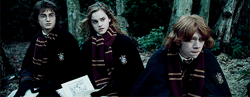 500_195gif 动态图 动图