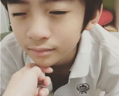 谢振轩如今已经从小豆丁长成了12岁的少年,升上了