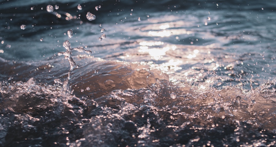 格兰仕落子芯片TCL集团更名,海尔长虹美的海信新年又抢跑-家电圈官网