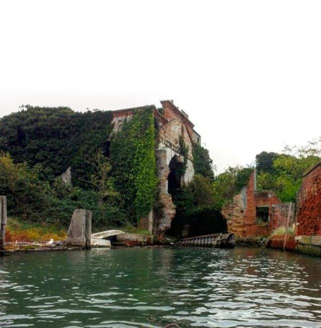 鬼岛情深遗世独立叹尘世