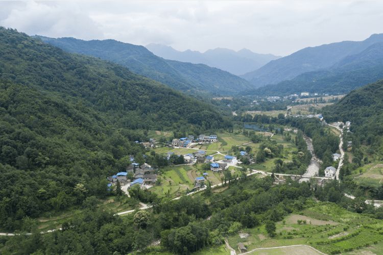 蚂蚁森林平武福寿保护地上线!赶快来申领,守护家乡的青山绿水!