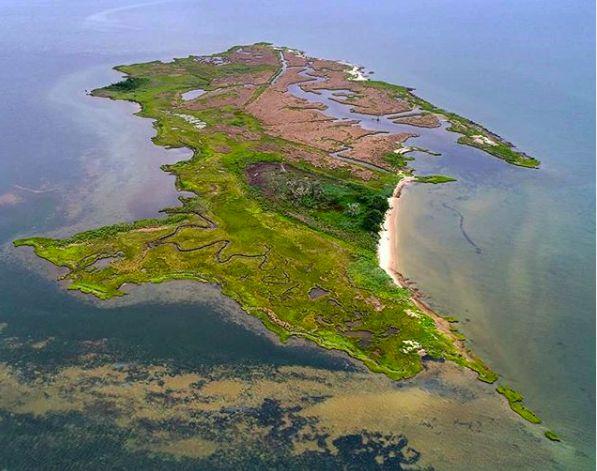 鬼岛情深遗世独立叹尘世