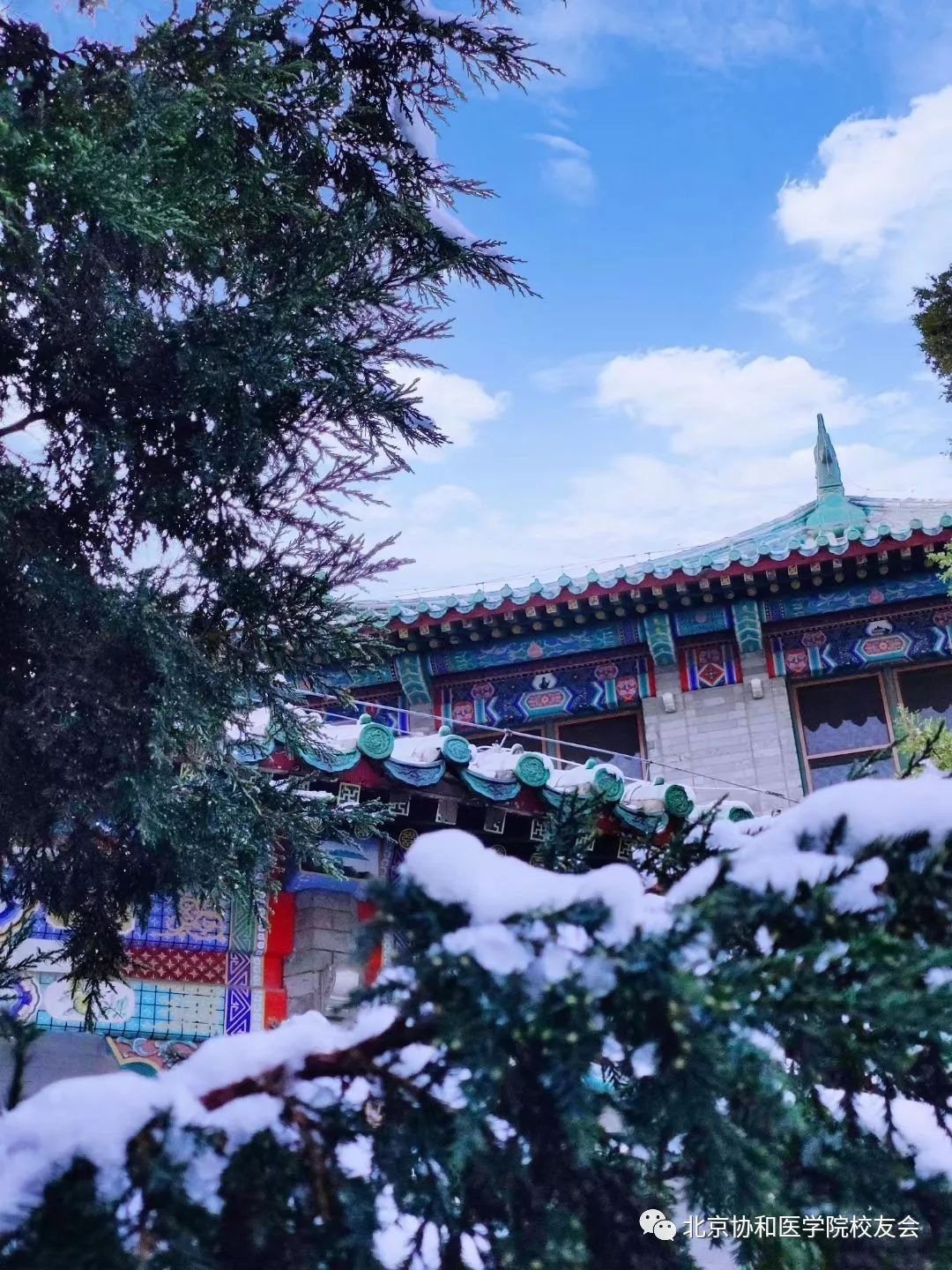 强力推荐丨北京协和医学院临床医学试点班