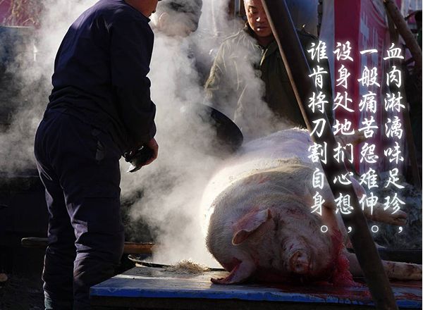 数以亿计即将面临无法言说的灾难请你救救它广为传播功德无量