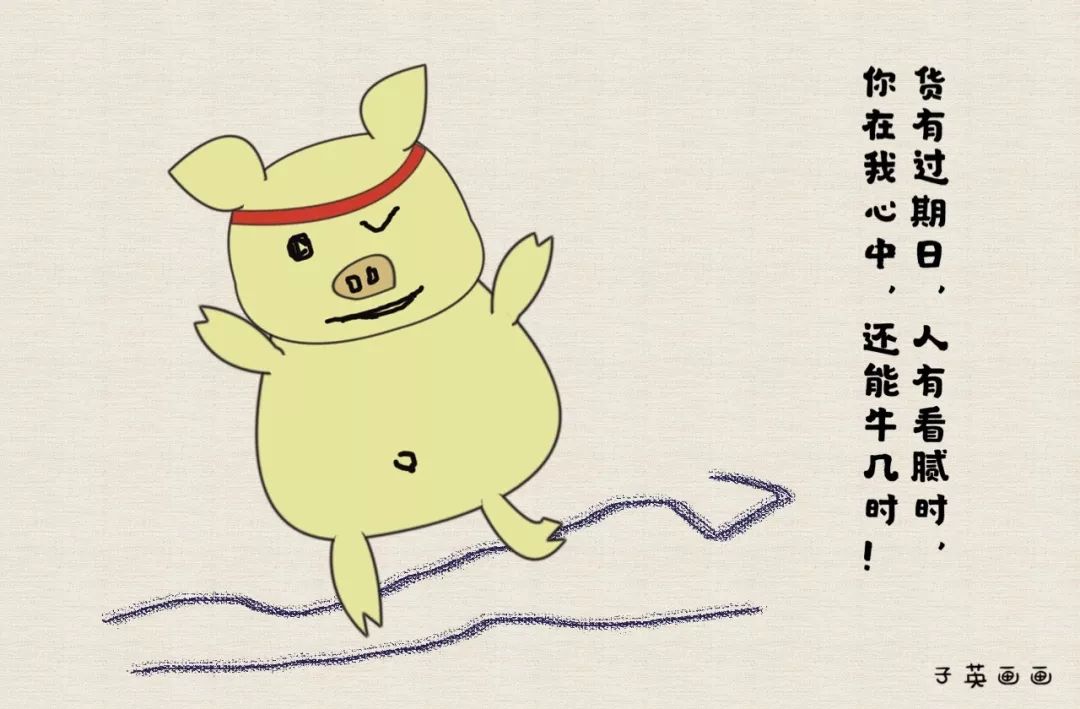 三分白忙七分瞎忙总算把猪年生活凑满了十分