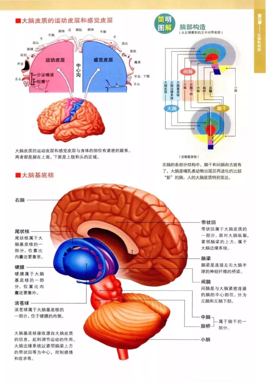 ▲▲▲▲▲本书在文末可免费领取