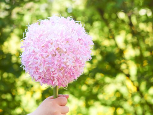 2021年桃花運最旺的生肖? 2021年桃花運最旺的生肖?