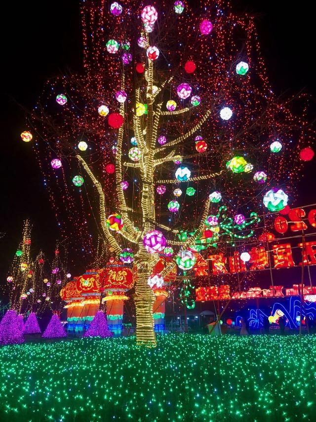 2020峡山灯会开幕灯火璀璨让人大饱眼福