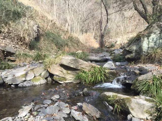 丹江口市丹赵路办事处计家沟村土关垭镇龙家河村丁家营镇饶祖铺村龙山