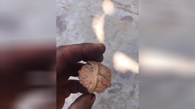 土豪文玩核桃大奔直接砸了好遗憾