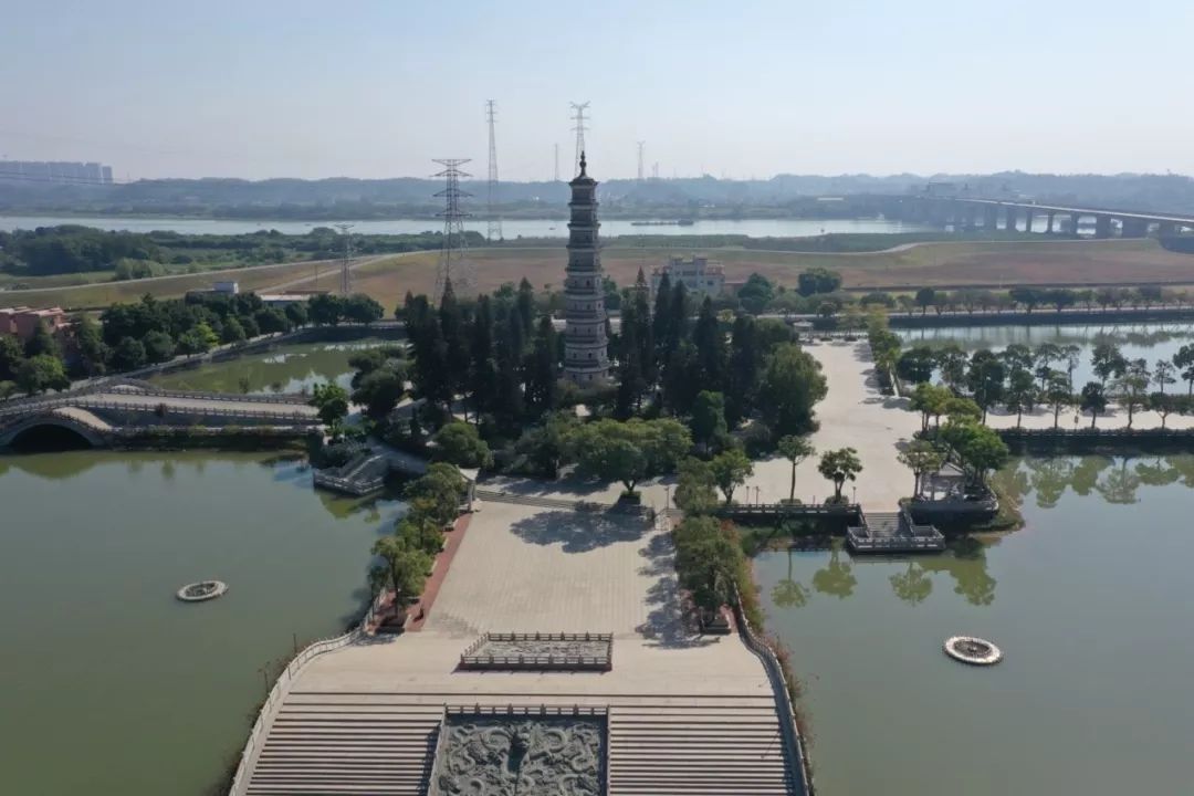三水区文塔公园航拍图对于全区树种选取,《规划》建议选用细叶榕,秋枫