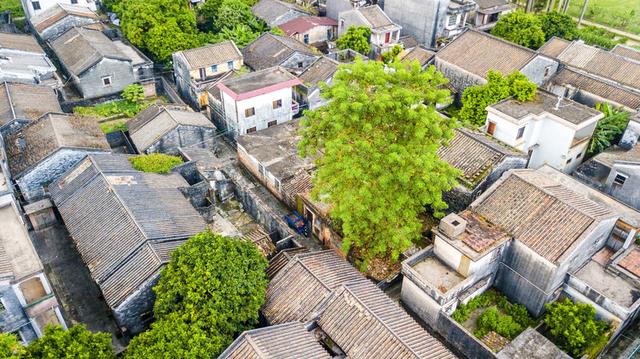 孫中山故居紀念館位於廣東省中山市翠亨村,成立於1956年,佔地面積20萬