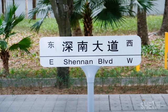厉害了深南大道