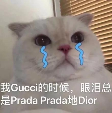 gucci出泡面引网友调侃gucci真不读哭泣这些奢侈品牌一开口就错了