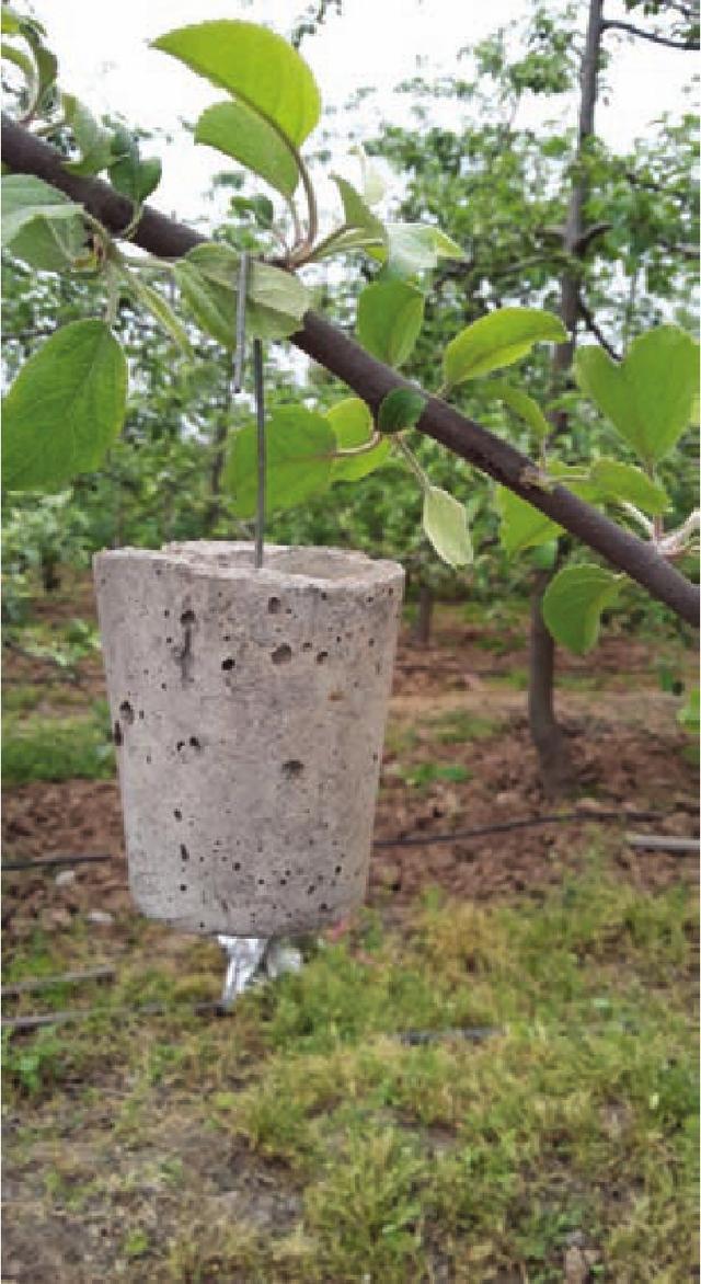 塑料型果树拉枝更方便更快捷