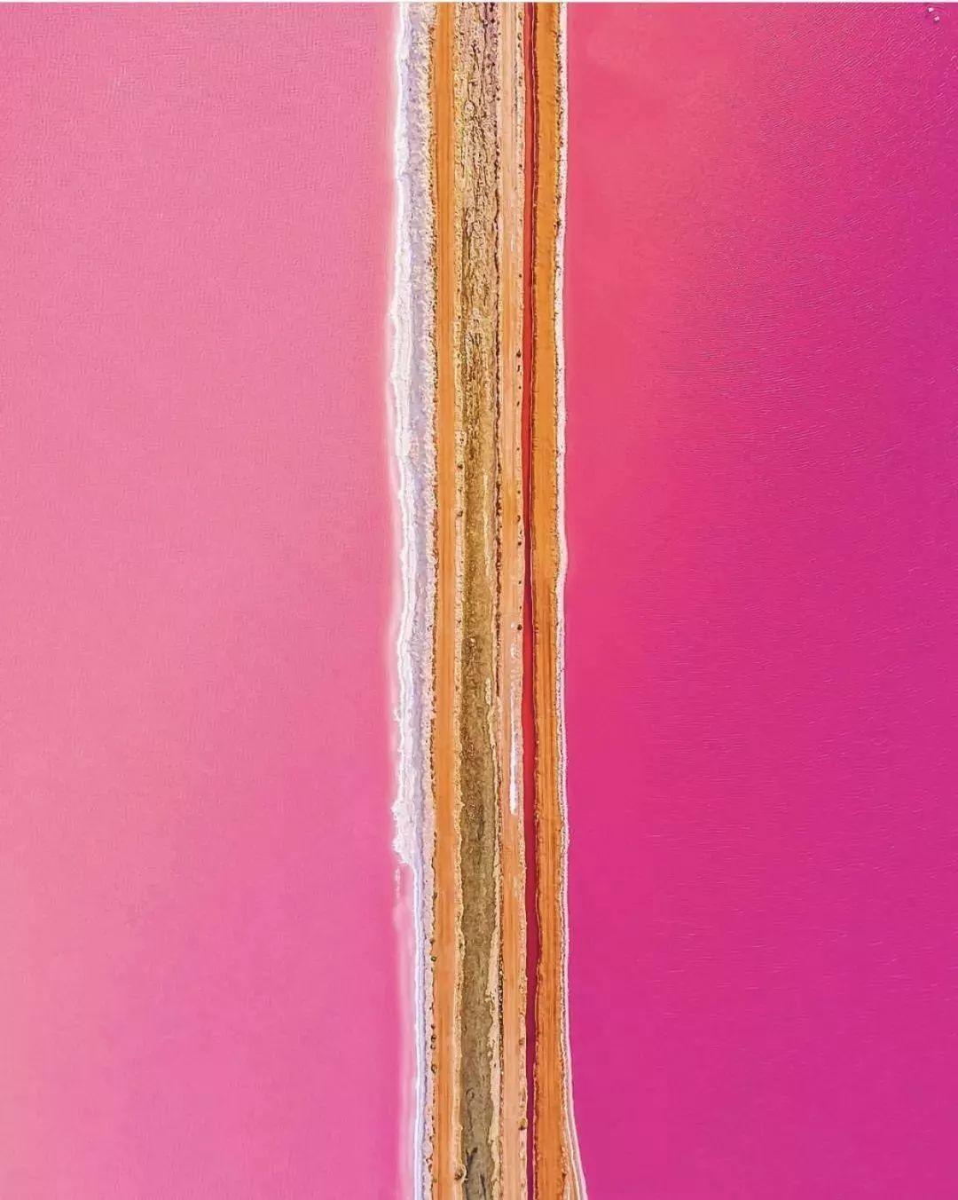 粉色少女粉色才是世界上最高级的颜色