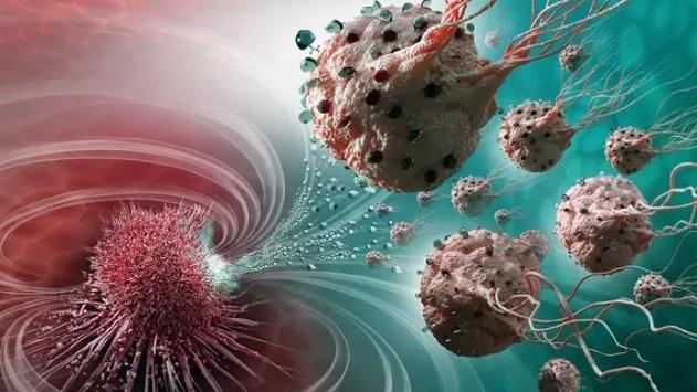 癌症有救了科学家发现转移因素一个分子物质或为关键
