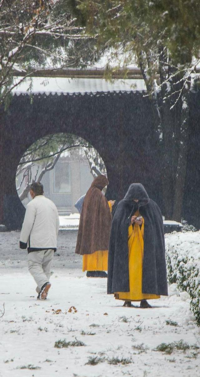 大寒时节里的白马寺比平日里多了一层白色美