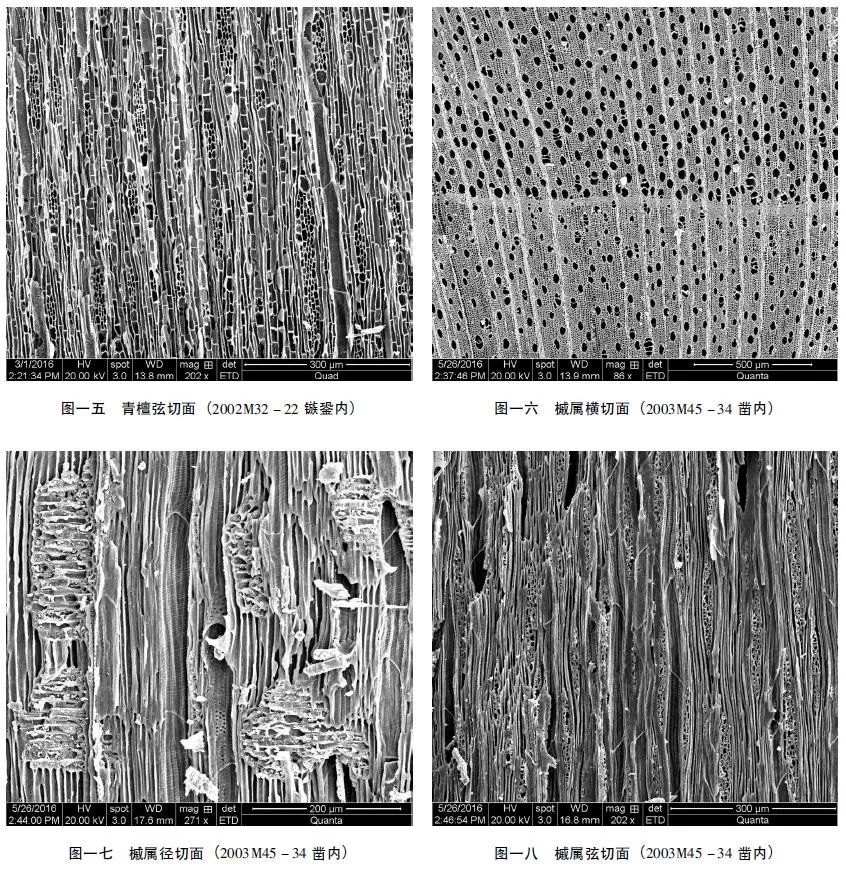 从木炭横切面上看,生长轮略明显,散孔材;管孔数略多,通常略小,大小
