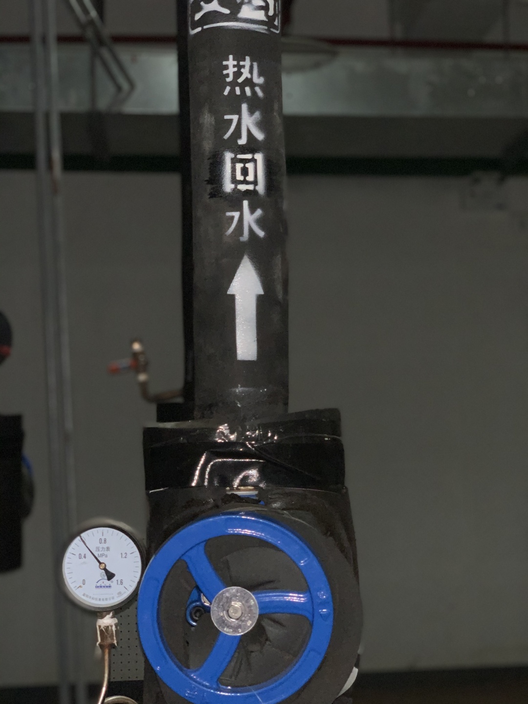 scalewatcher在凯悦酒店热水系统的应用