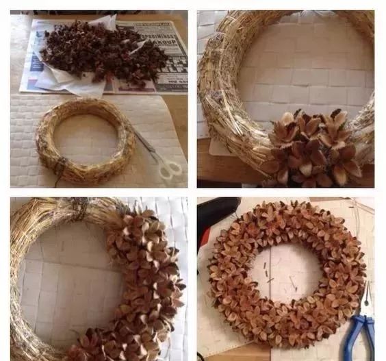 开心果壳改造diy