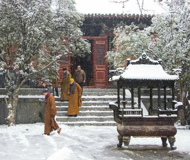 大寒时节里的白马寺比平日里多了一层白色美