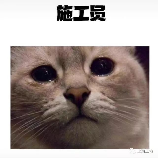 工地人员表情包一览真是太形象了