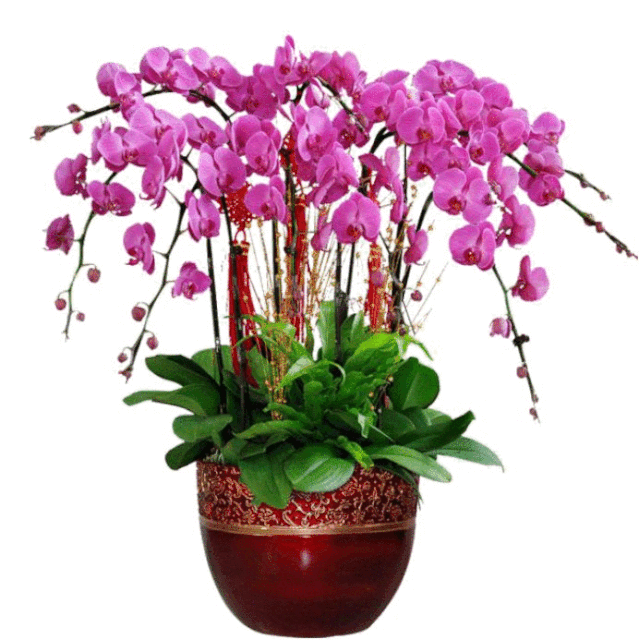 639_640gif 动态图 动图