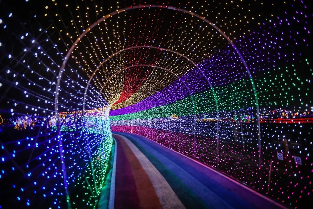 加入led灯光秀呈现出森林之光灯会颠覆了传统的灯光展览形式就能欣赏