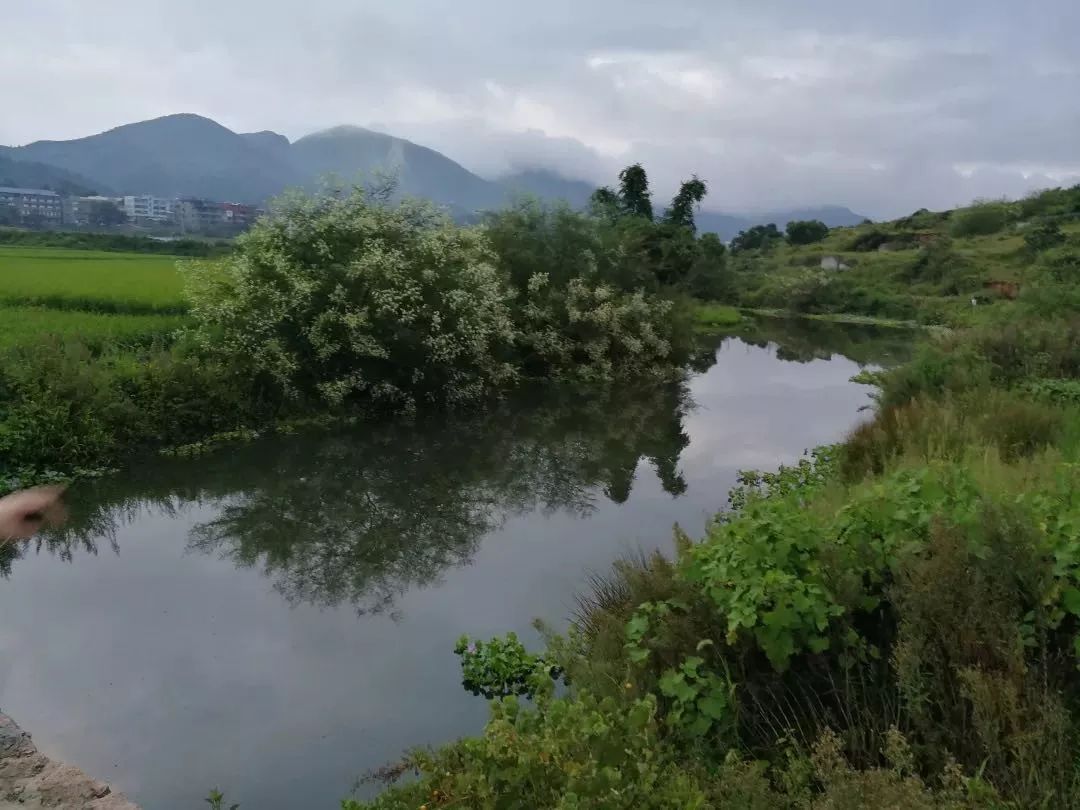 福州23个村入选第一批国家森林乡村!_福清市
