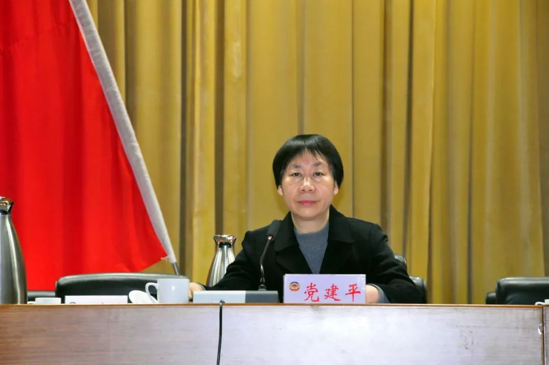 洛阳市洛龙区政协会闭幕杨哲委员为优化营商环境献计献策