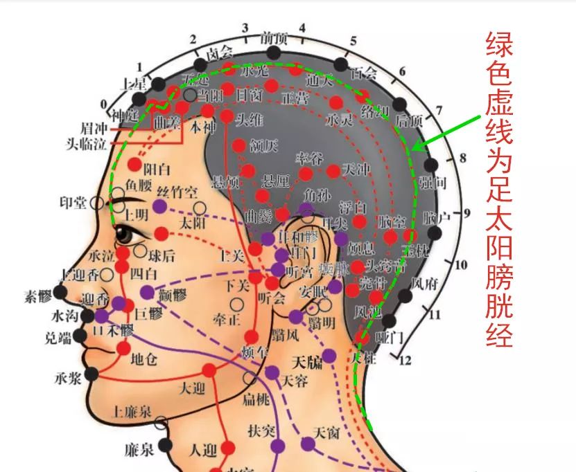 穴位知识十二经脉足太阳膀胱经之曲差穴