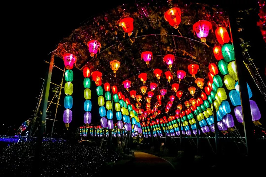 大量高清实景图来袭这场家门口的网红灯会太太太美了