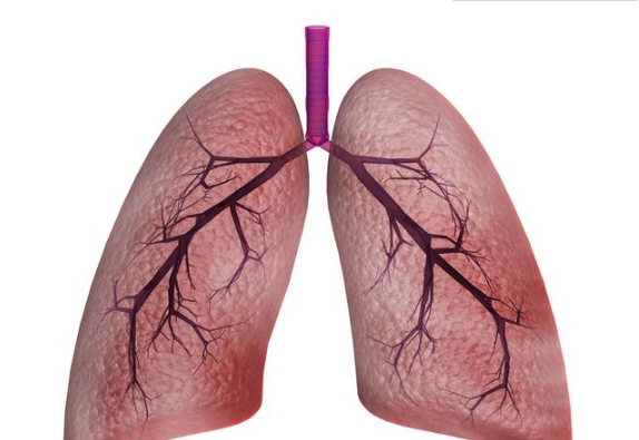 支气管哮喘病人的体征吸烟与哮喘到底有什么关系