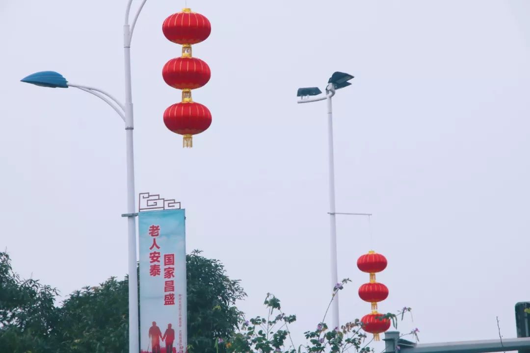 大红灯笼高高挂春节氛围浓了扮靓大龙街过年啦