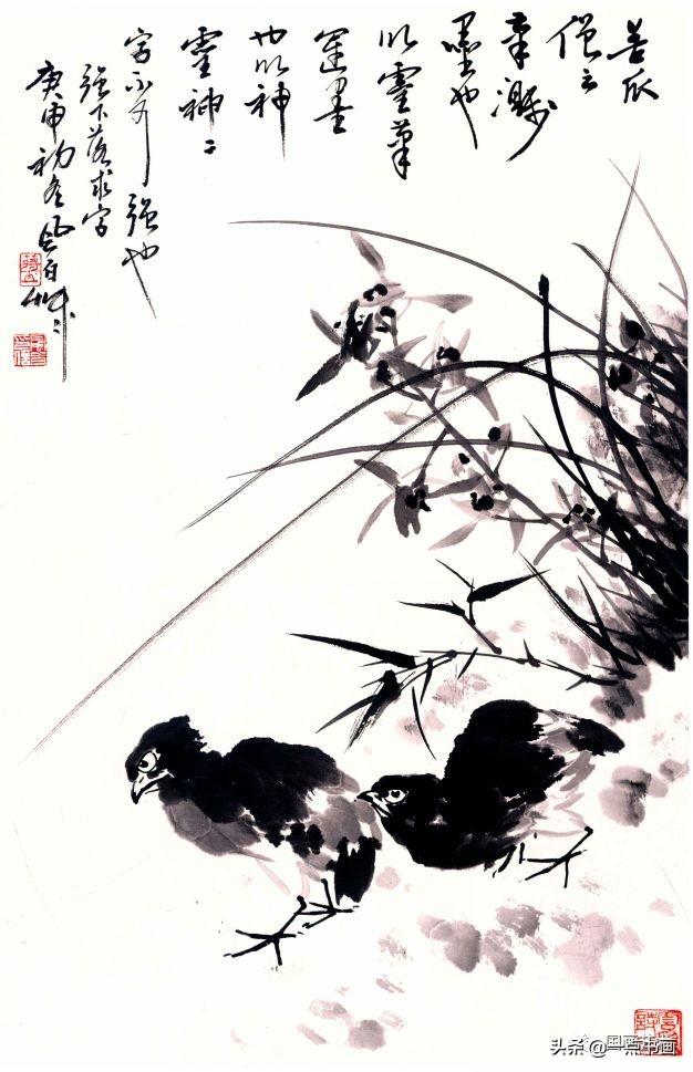 蒋风白丨写意兰花辑录分享