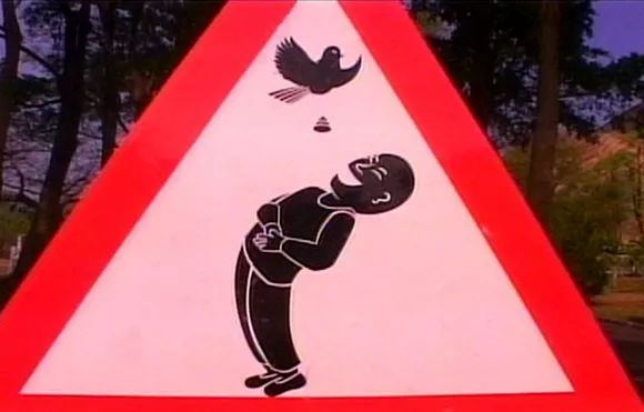 石墨烯加点鸟屎就能提高性能一坨鸟屎秒杀2000篇sci文章