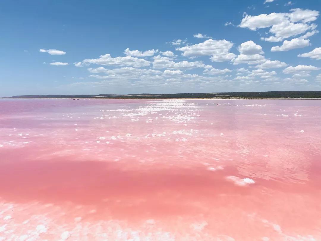 梦幻粉红湖海上小火车2020年澳洲最浪漫的10个地方