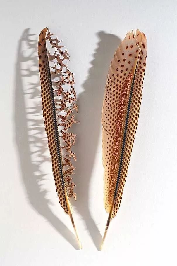 巧夺天工的羽毛雕刻