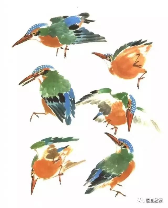 精美绝伦的鸟谱150只喜欢花鸟画的朋友们可真要收藏了太美了