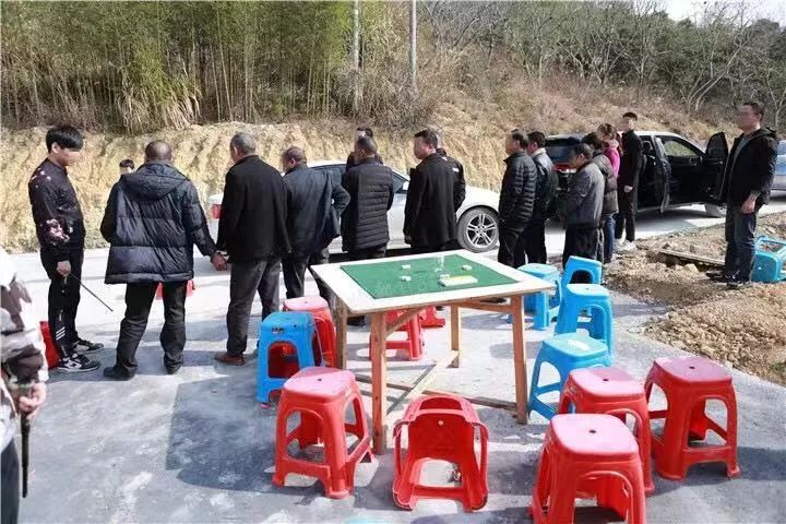 在山上赌博,泰顺公安抓了16人!