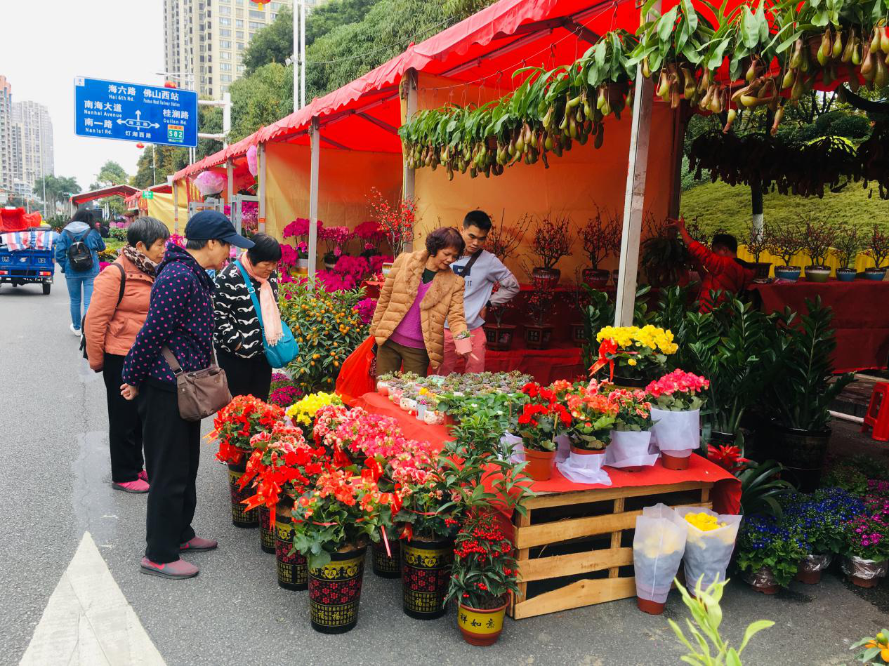 據悉,2020年南海迎春花市設在桂城燈湖西路(海四路