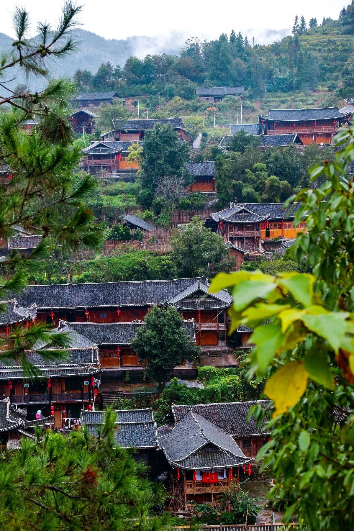 藏在渝鄂湘黔四省交界处的桃花源,30天后,美成仙境!