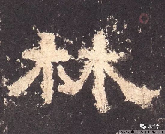 "木"是象形字,甲骨文像一株树,上部是枝下部是根"本"是指事字,金文在