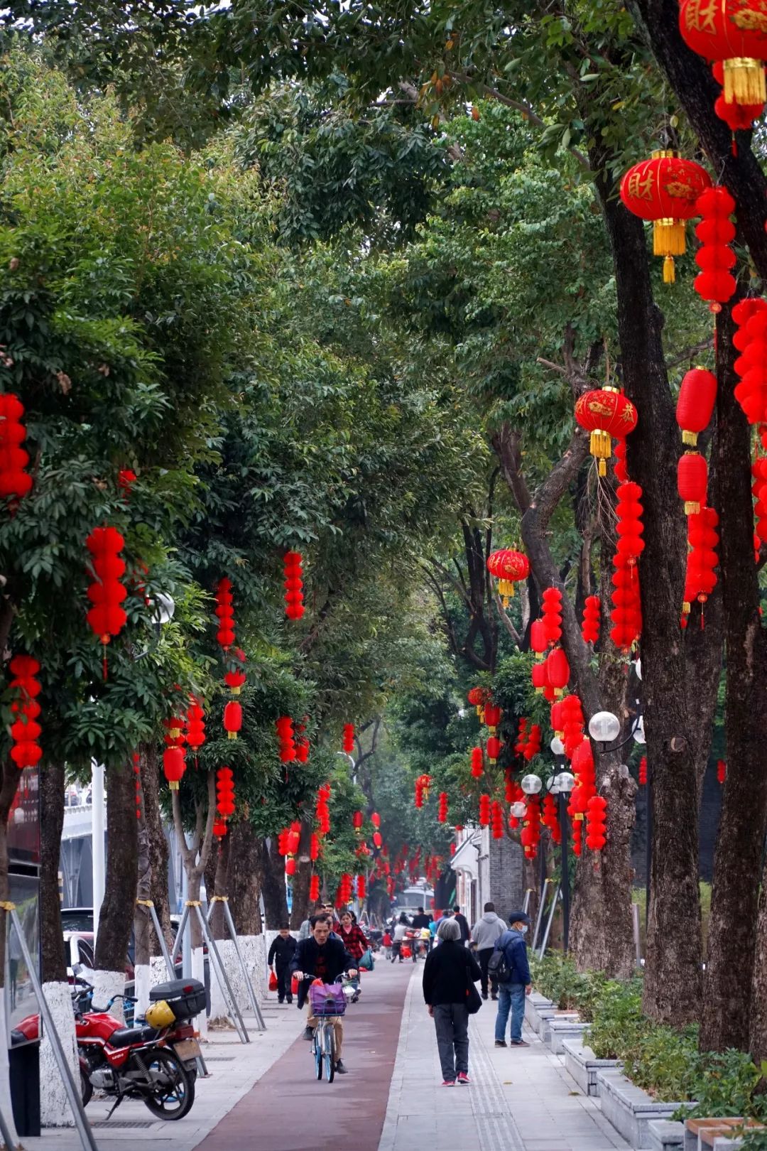 跃进路(启明里).刘淑君供图长堤风貌街.白沙街道供图港口路.