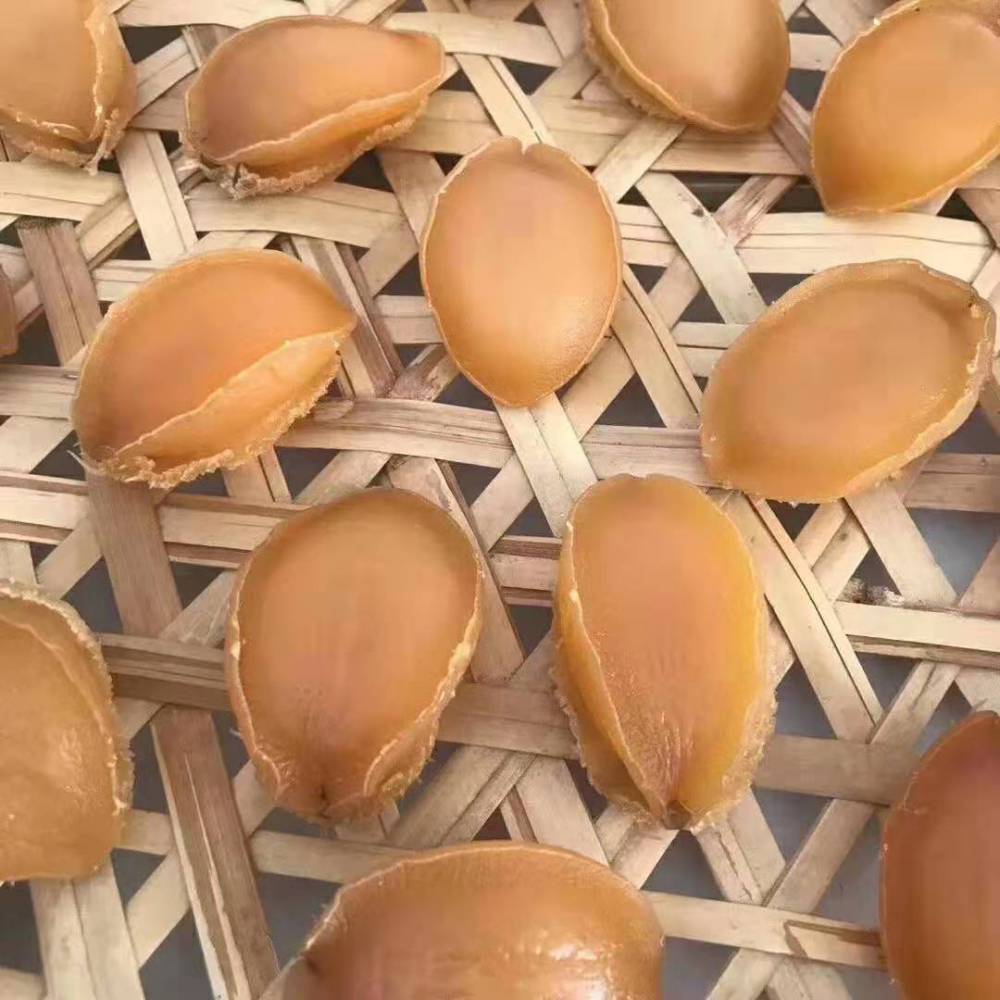 鲍鱼干烘干机干燥全过程