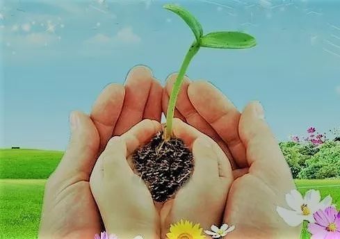 原创生命的意义在于对美好的期待