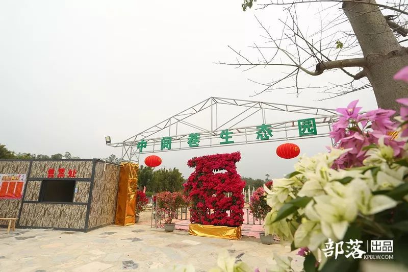 2020开平春节《节目表》_花海