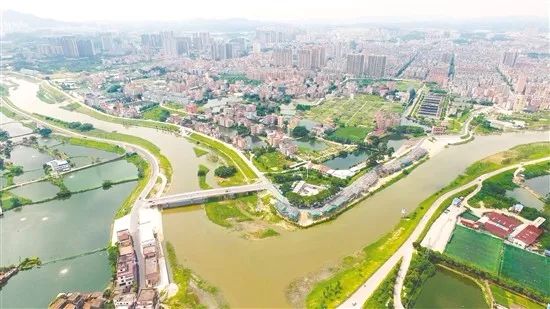 圖為鶴山沙坪河碧道.