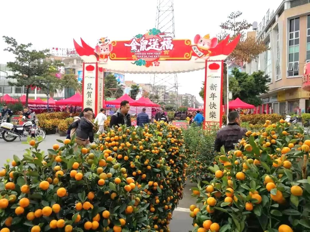倒计时三天2020年番禺迎春花市等你来